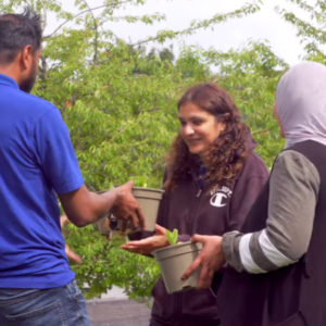 A still from a Birmingham Stories film produced for Birmingham Museums Trust showing thee people outside, holding flower potswith plants in them.