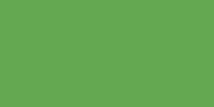 A blank grass green background